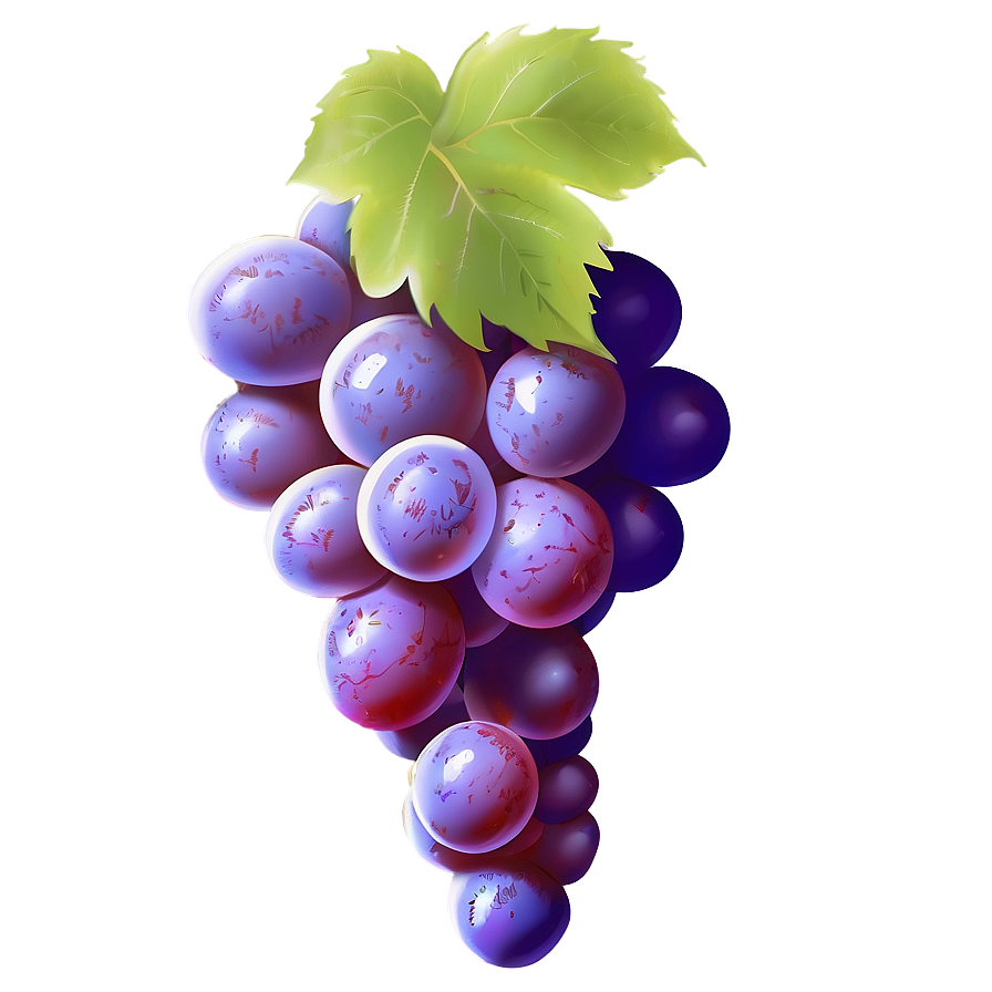 Perfect Grape Illustration Png Iwr