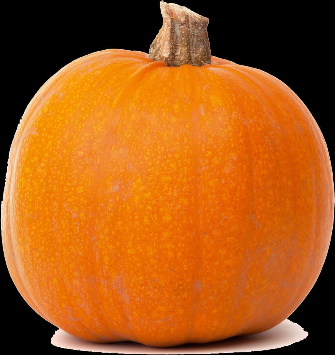 Perfect Orange Pumpkin Black Background