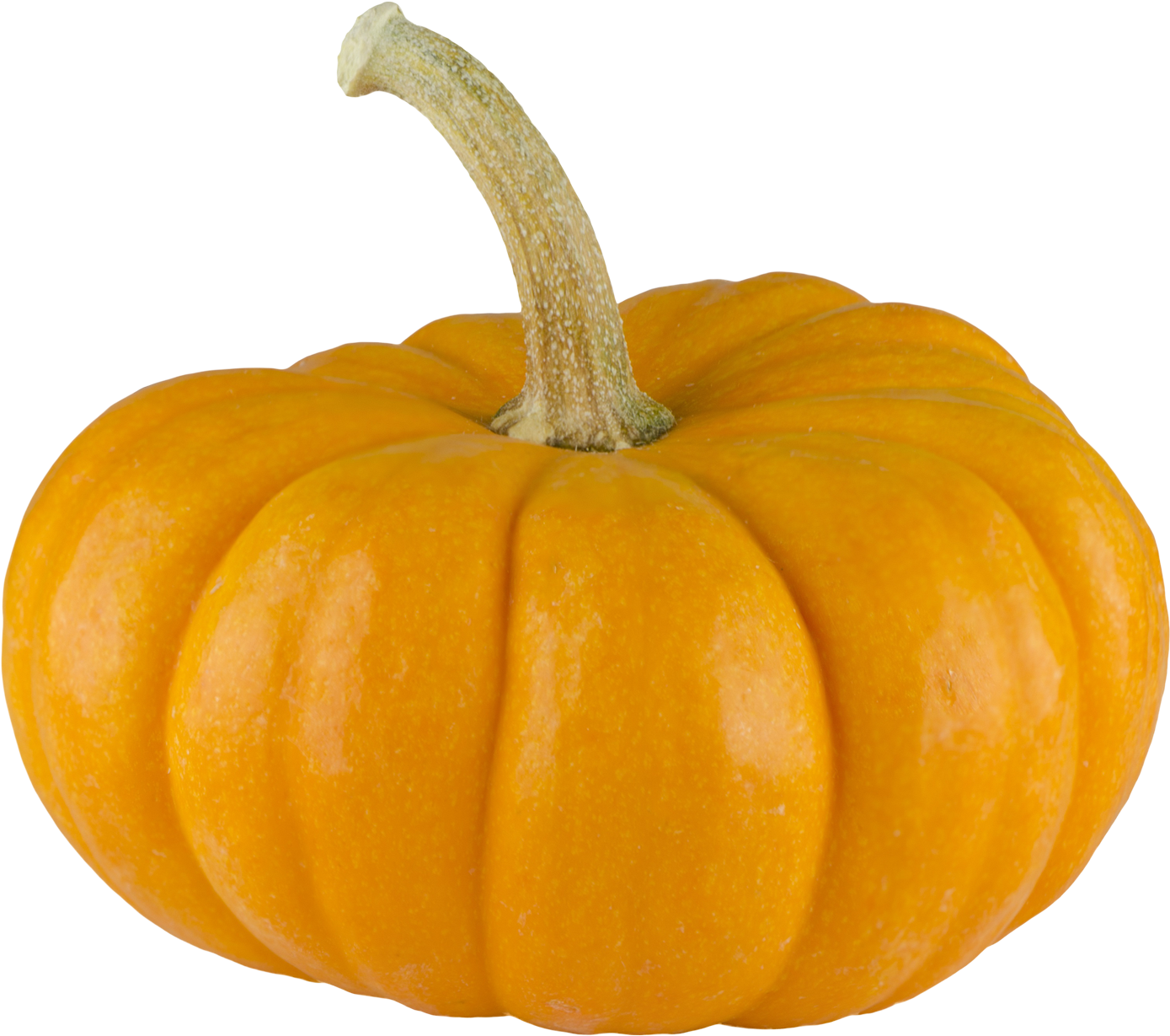 Perfect Orange Pumpkinon Blue Background.png