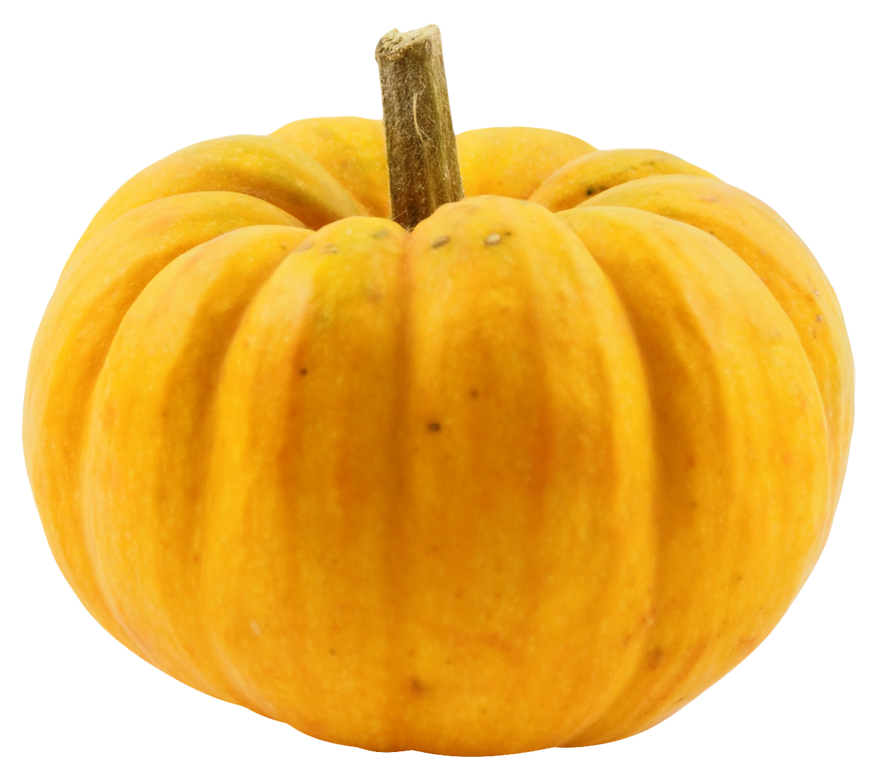 Perfect Yellow Pumpkin Isolated Background.png