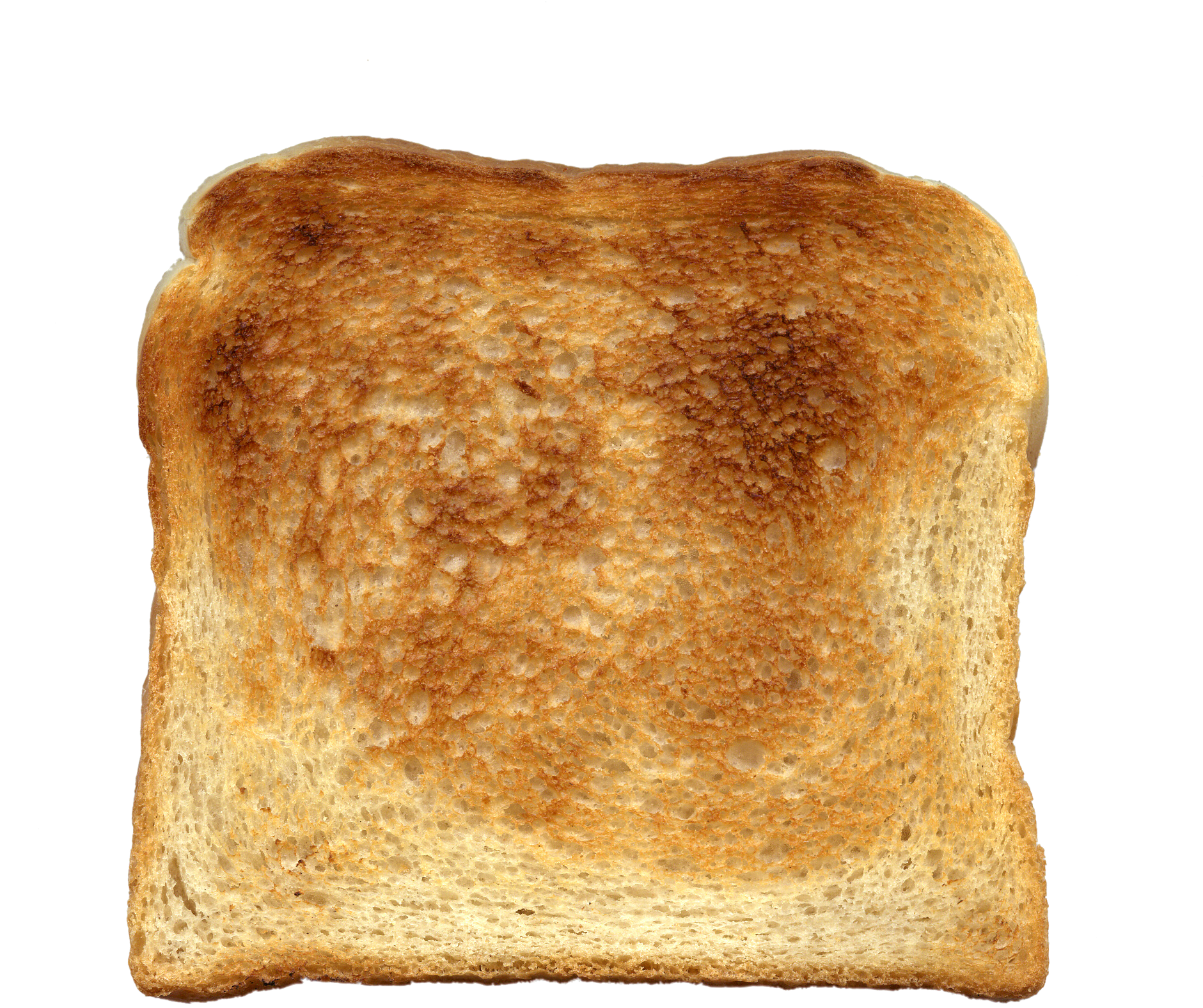 Perfectly Toasted Bread Slice