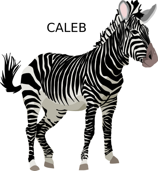 Personalized Zebra Illustration Caleb