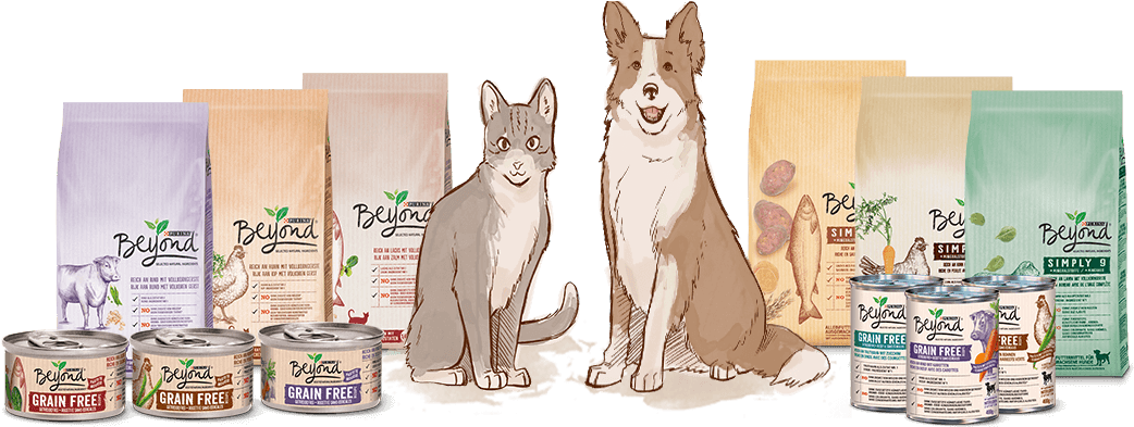 Pet Food Branding Illustration