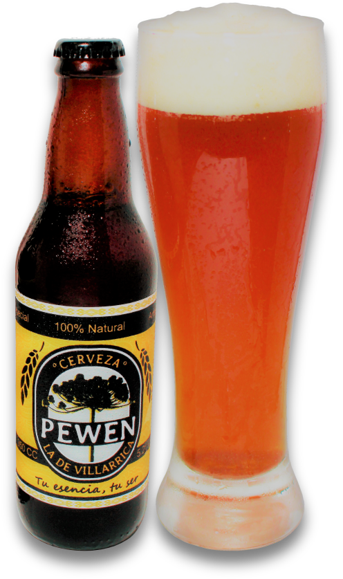 Pewen Cerveza Artisanal Bottleand Glass