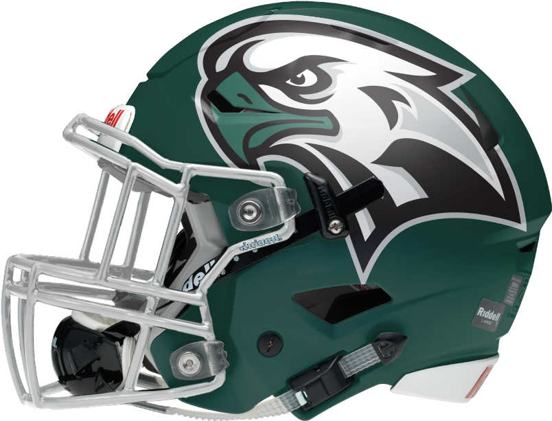 Philadelphia Eagles Helmet Design