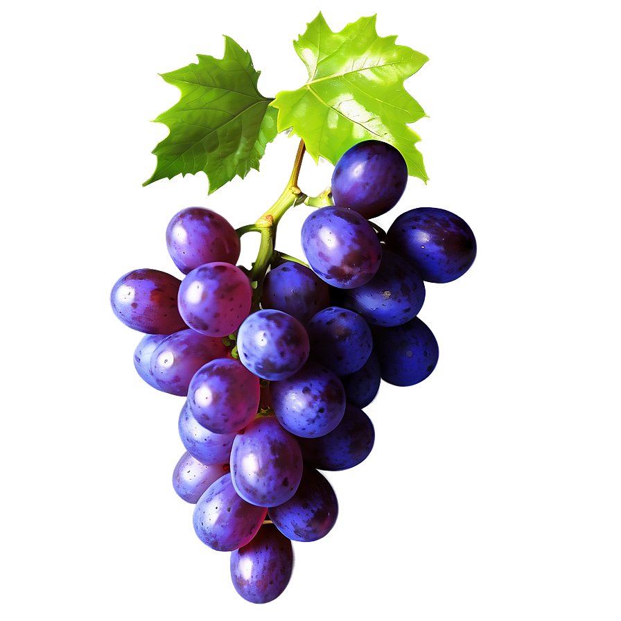 Photorealistic Grape Png 06292024