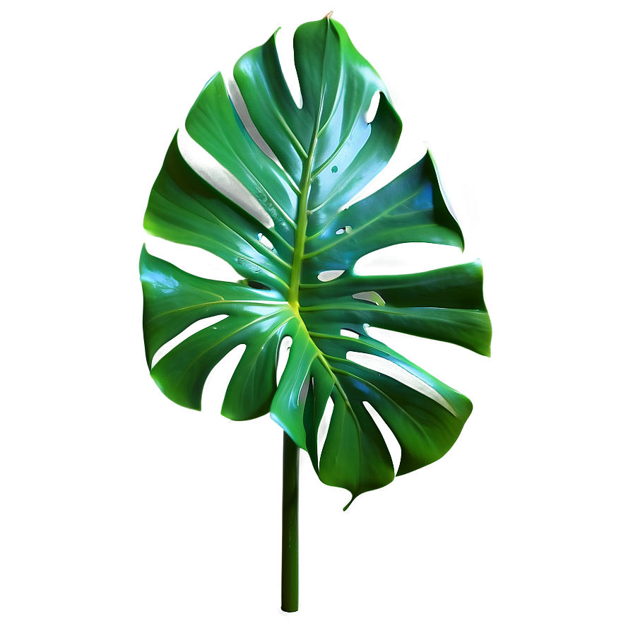 Photorealistic Monstera Leaf Png 22