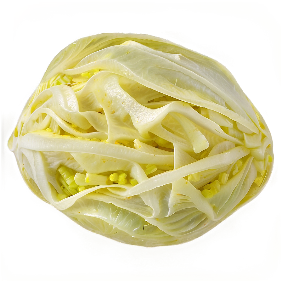 Pickled Cabbage Png 06122024