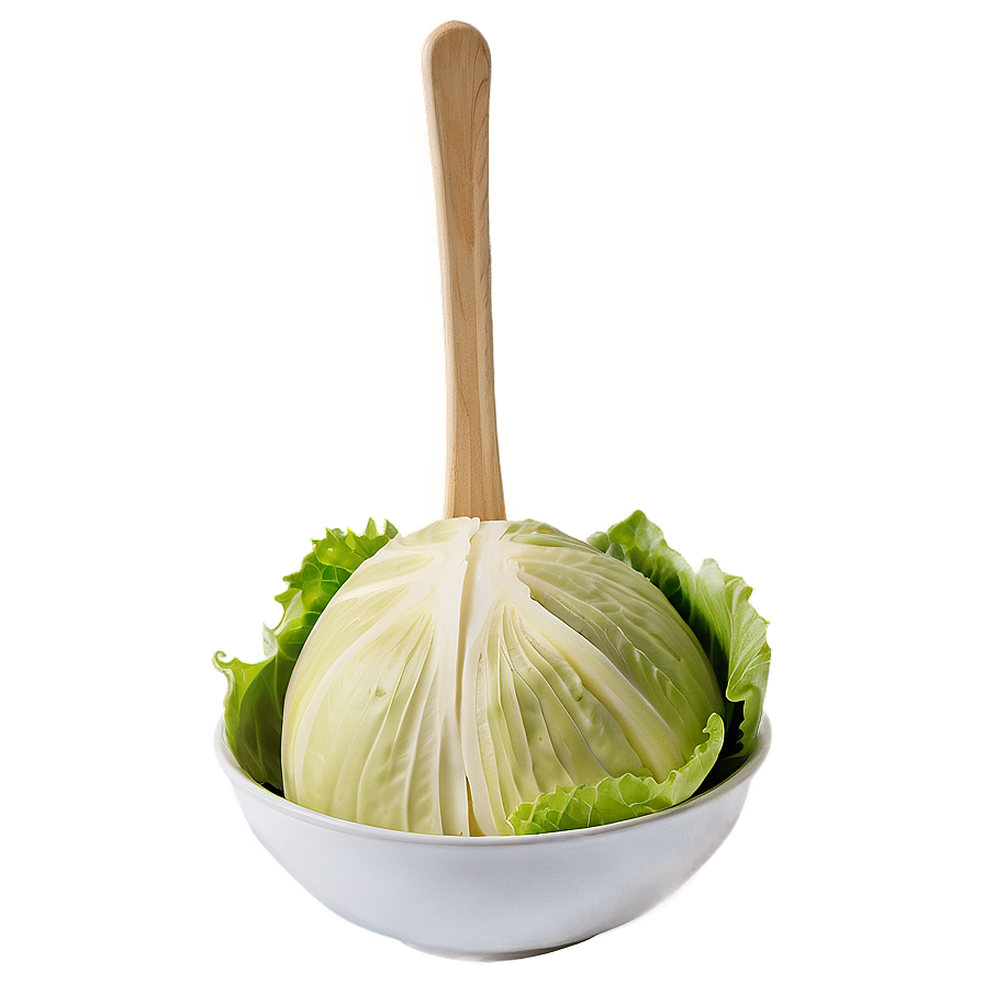 Pickled Cabbage Png 26