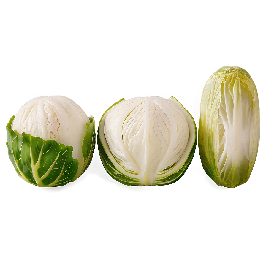 Pickled Cabbage Png Yvr51