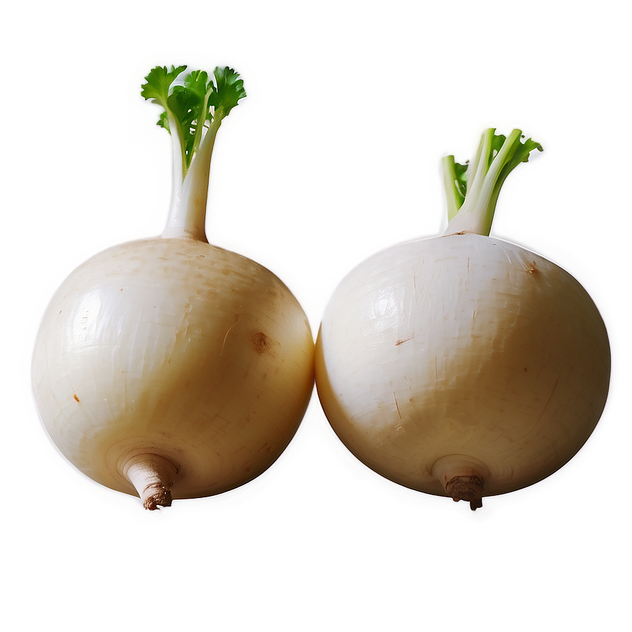 Pickled Turnip Png 9