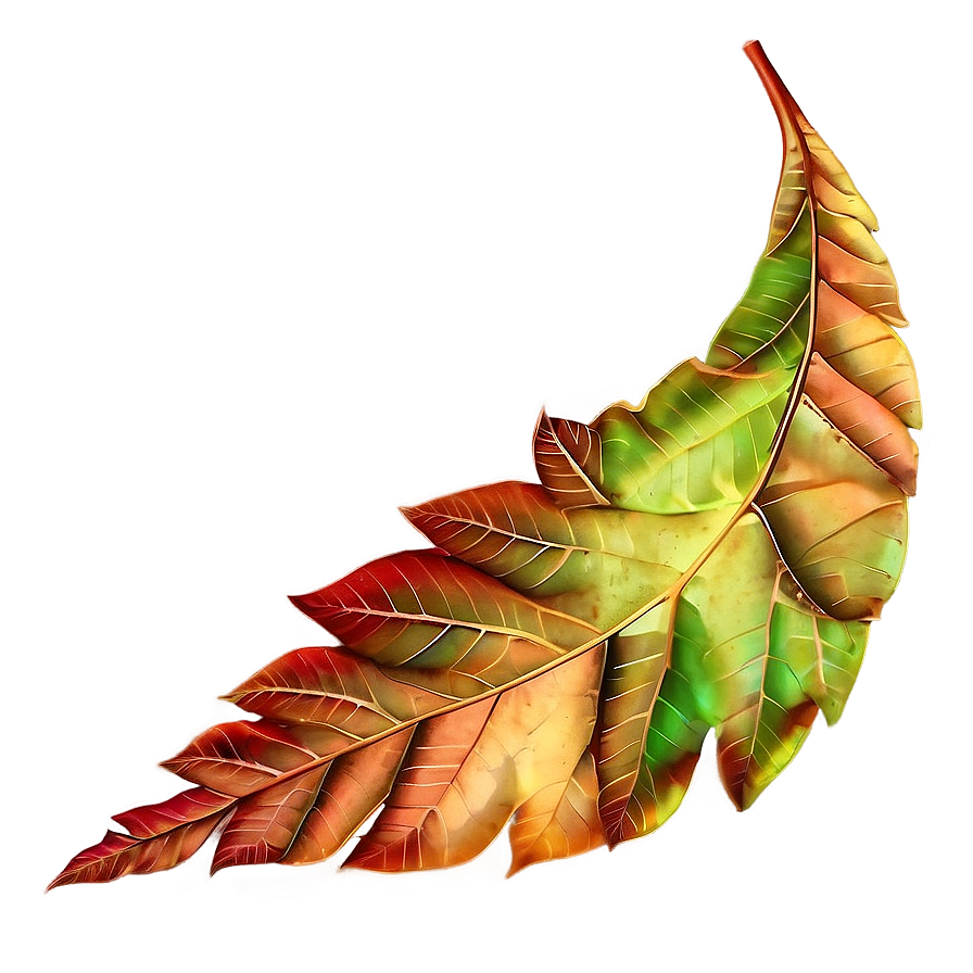 Picturesque Autumn Leaves Png 51