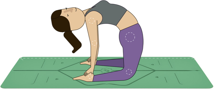 Pilates Camel Pose Illustration