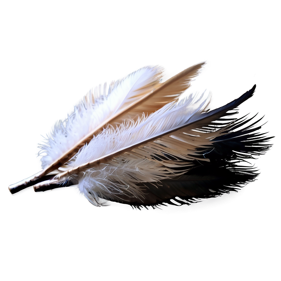 Pile Of Soft Feathers Png Faf