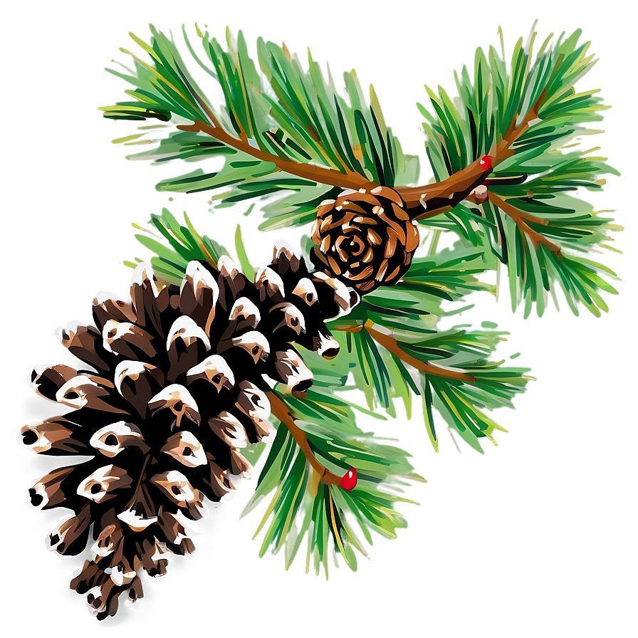 Pine Branch With Cones Png 06132024