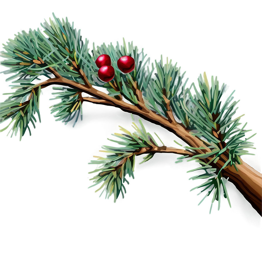 Pine Branch With Cones Png 06132024