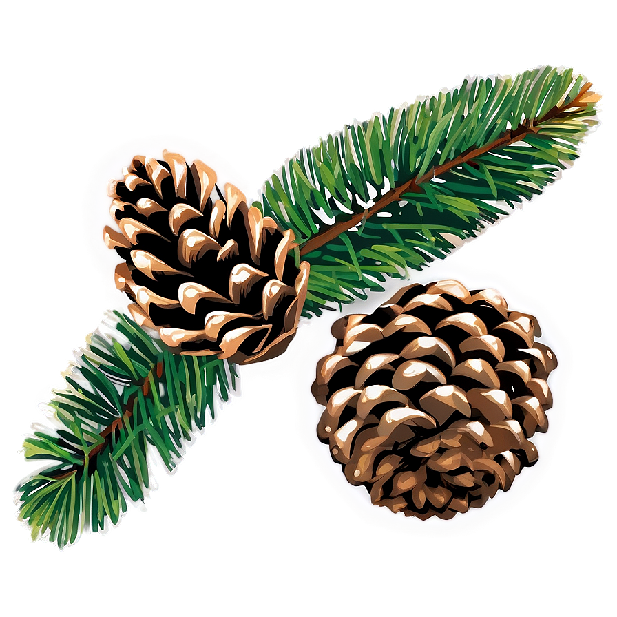 Pine Cone Graphic Png Wdt