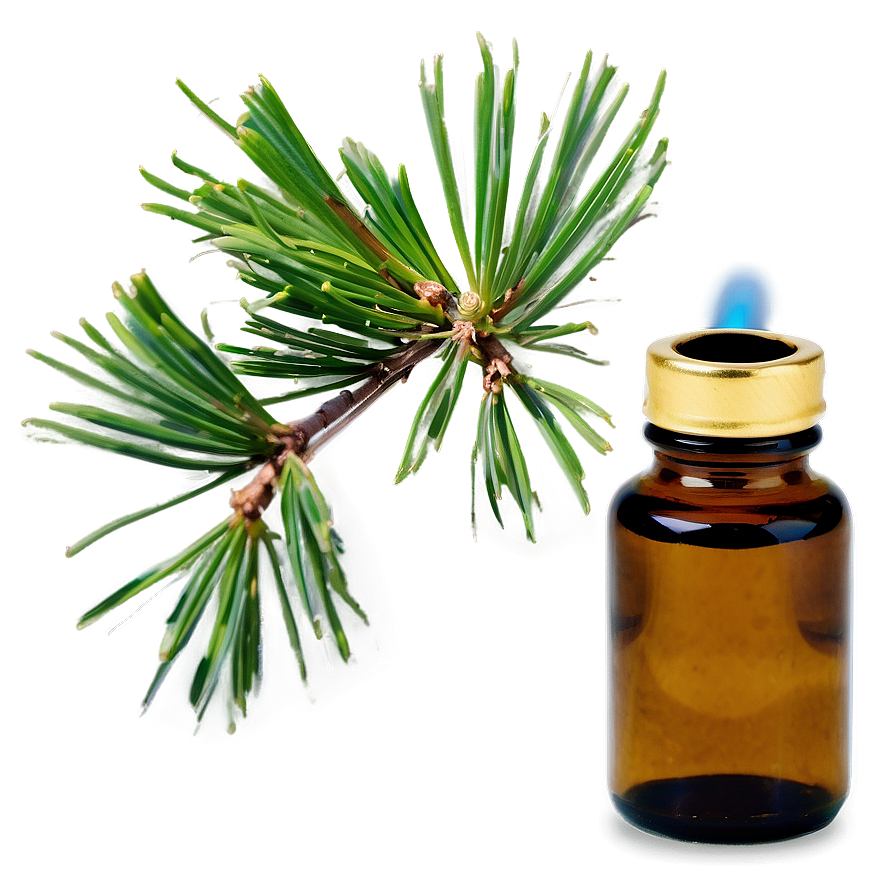 Pine Essential Oil Png 87