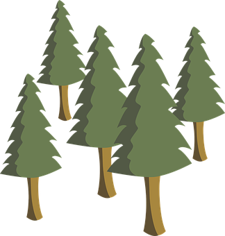 Pine Forest Illustration