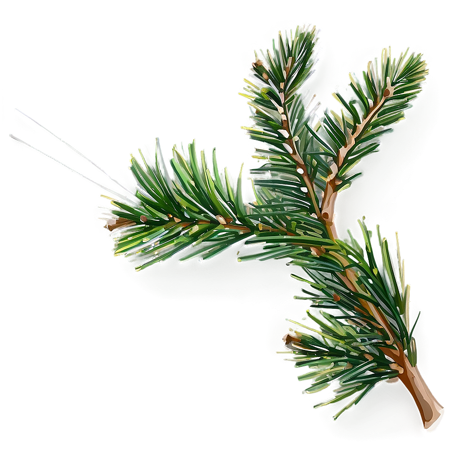 Pine Needle Close-up Png 9