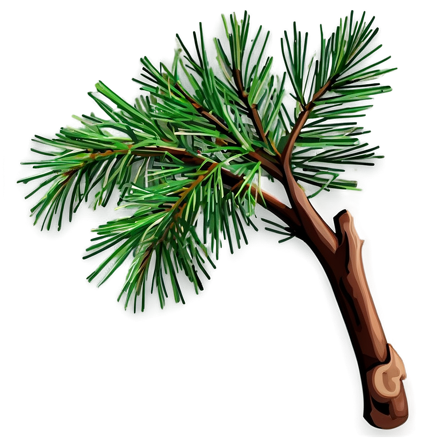 Pine Tree Branches Png 98