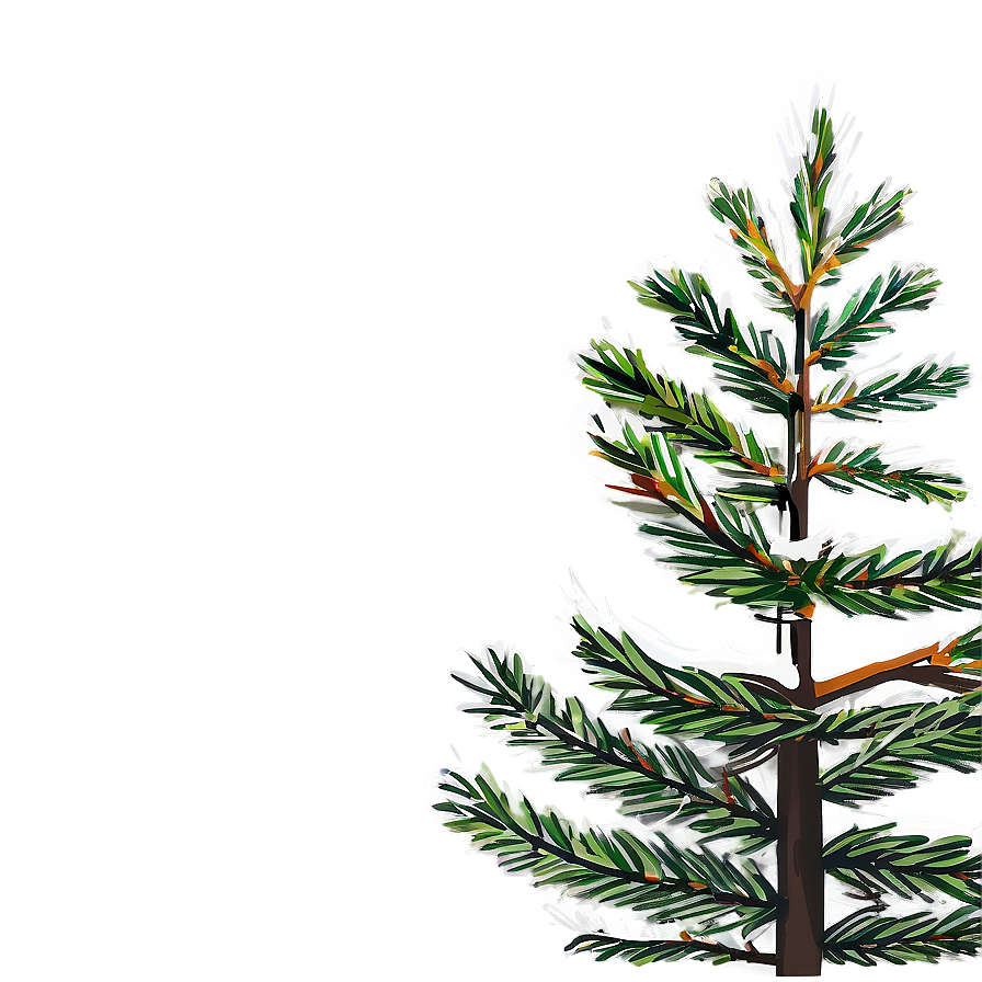 Pine Tree Illustration Png Fjo29