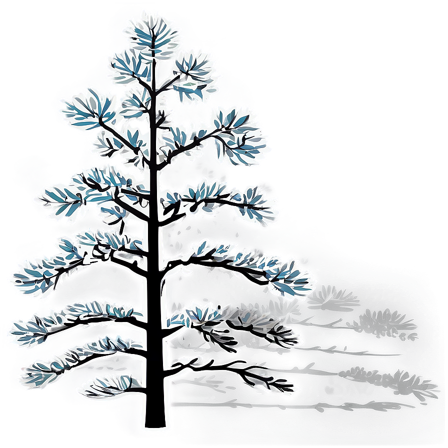 Pine Tree In Four Seasons Png 20