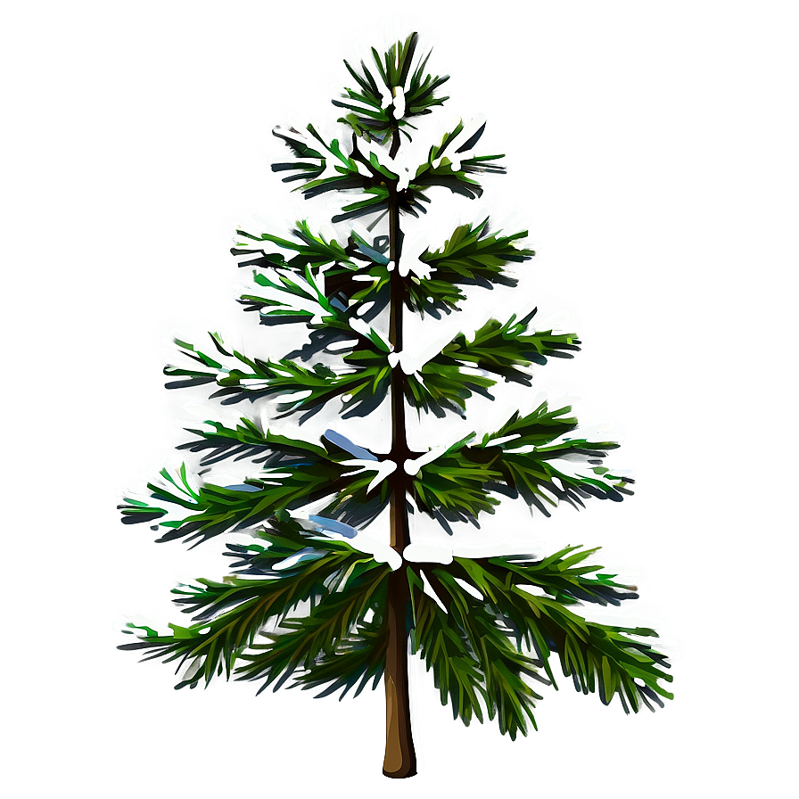 Pine Tree In Four Seasons Png 82