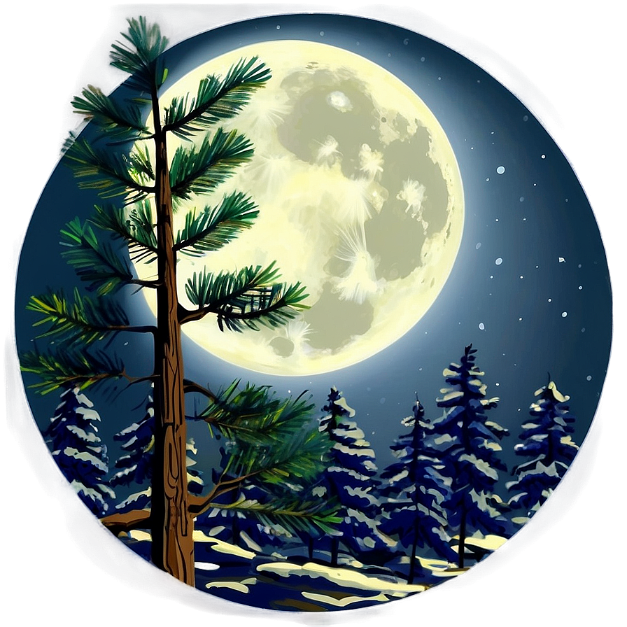 Pine Tree Moonlight Scene Png 16