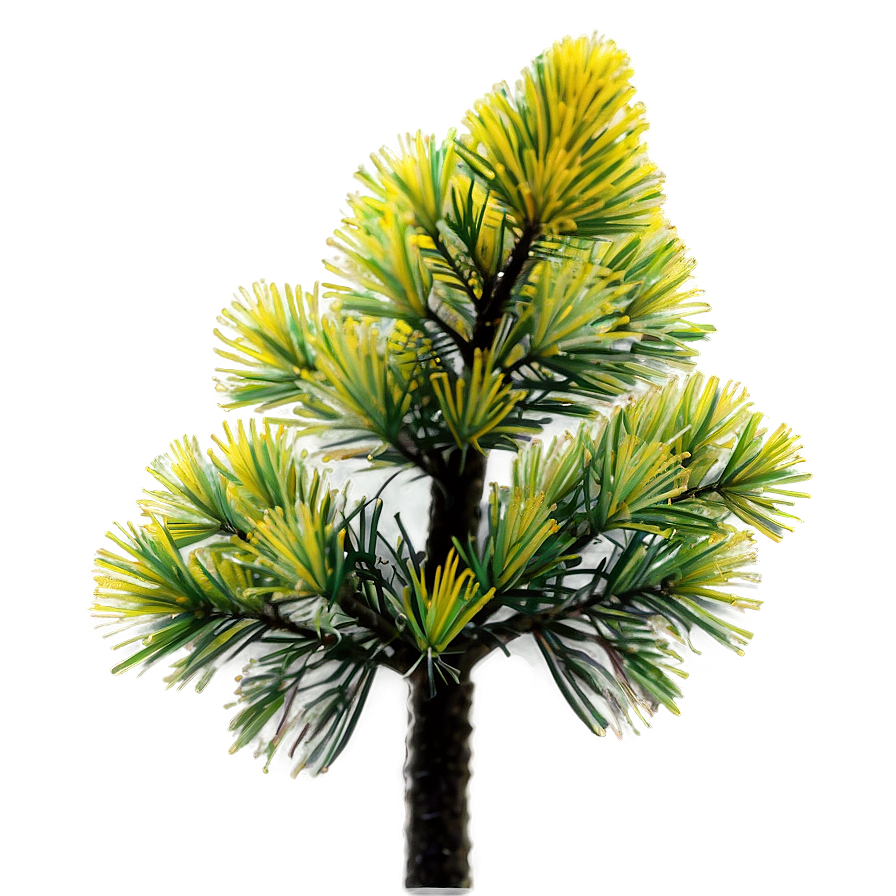 Pine Tree Pollen Cloud Png Swk