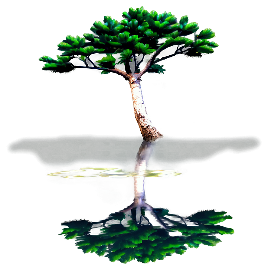 Pine Tree Reflection Water Png Rns9