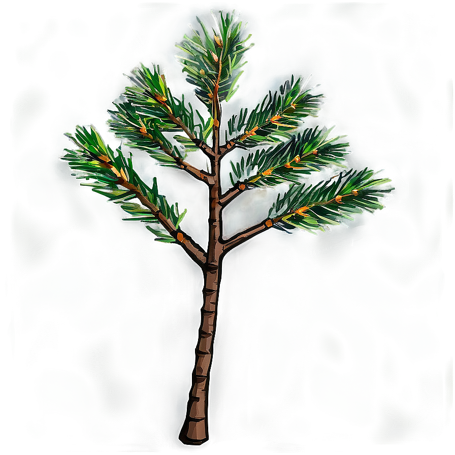 Pine Tree Sapling Png Ert