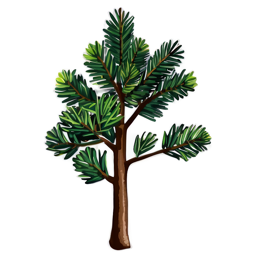 Pine Tree Seedling Png 33