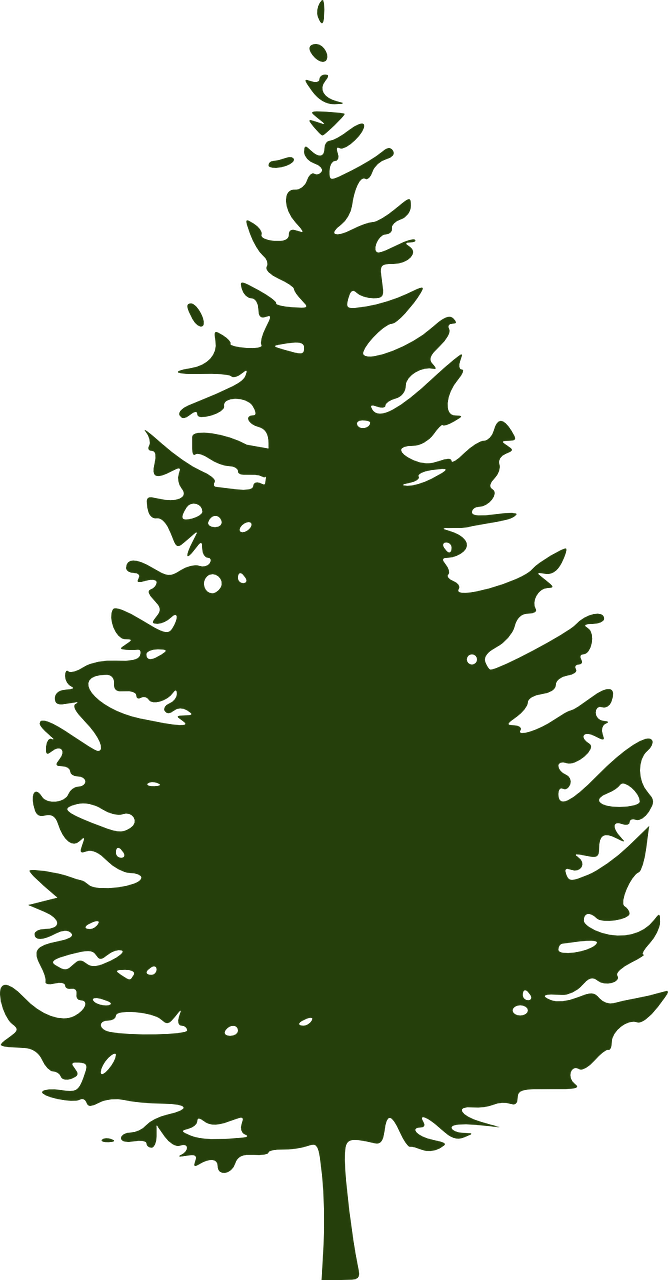 Pine Tree Silhouette Graphic