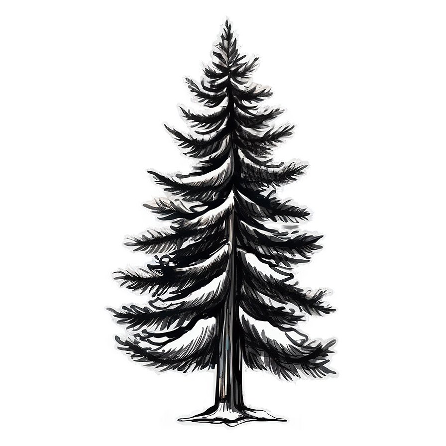 Pine Tree Sketch Png Qby14