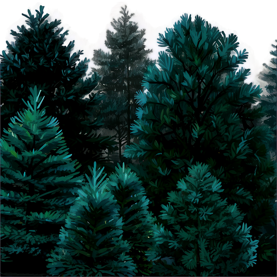 Pine Trees In The Mist Png 05252024