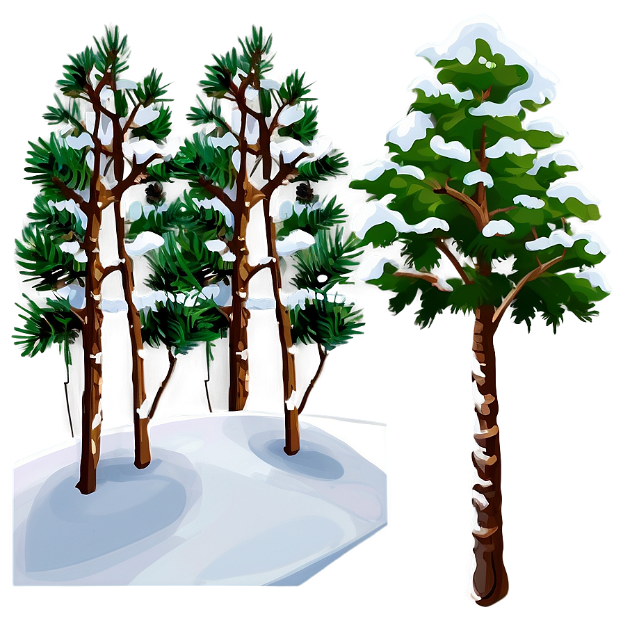 Pine Trees In Winter Png 05252024