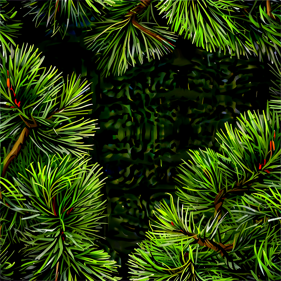 Pine Trees Wallpaper Png 54