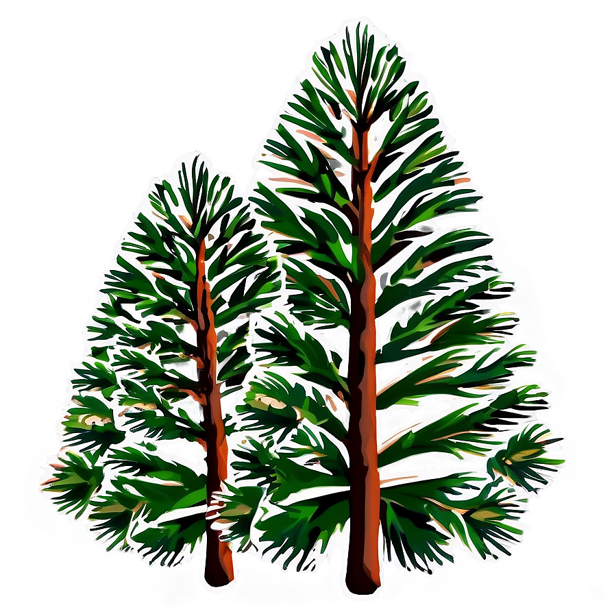 Pine Trees With Cones Png 05252024