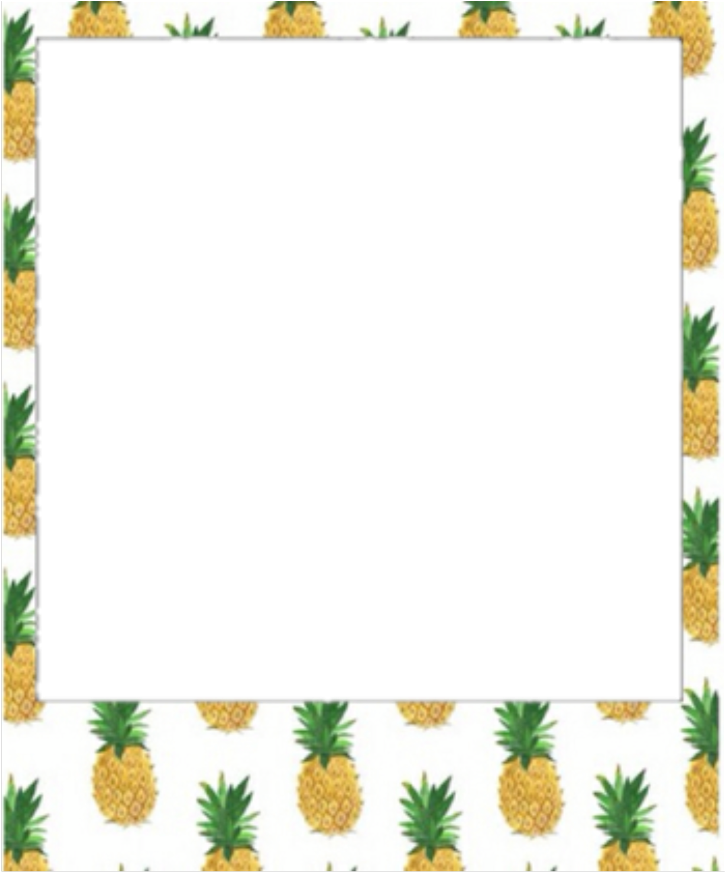 Pineapple Frame Tumblr Border