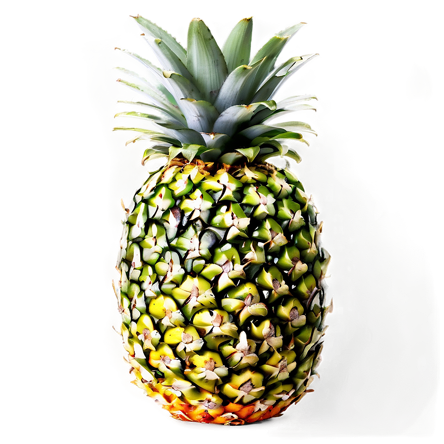 Pineapple Healthy Png 05032024