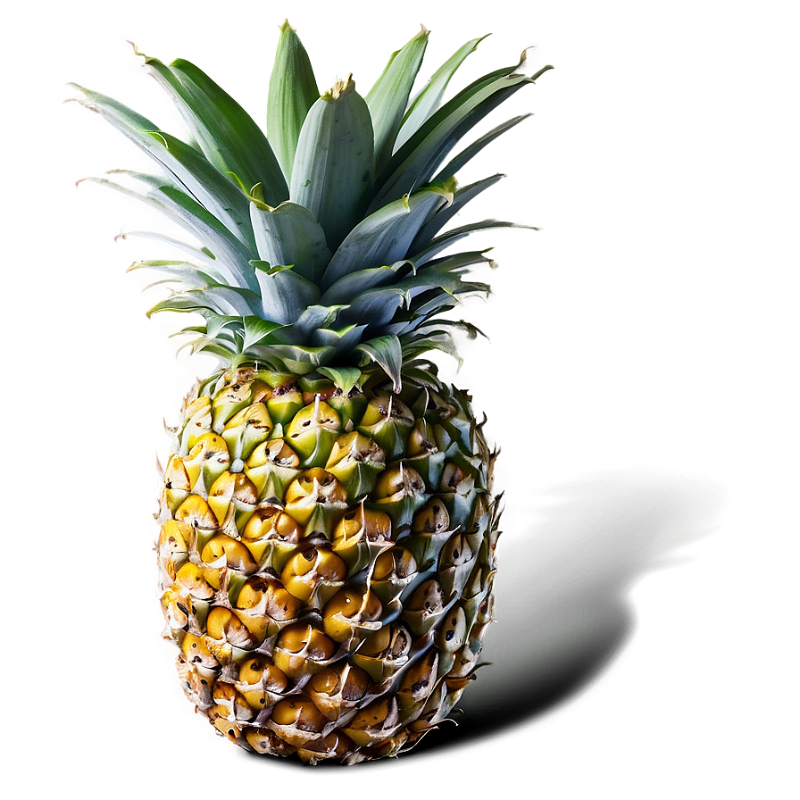 Pineapple Nutrition Png 51