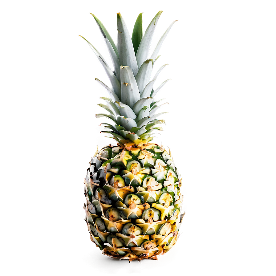 Pineapple Top View Png Bou