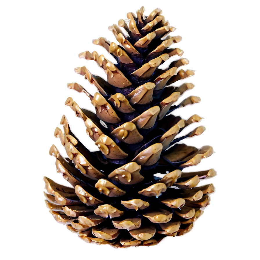 Pinecone With Misty Background Png Nkl