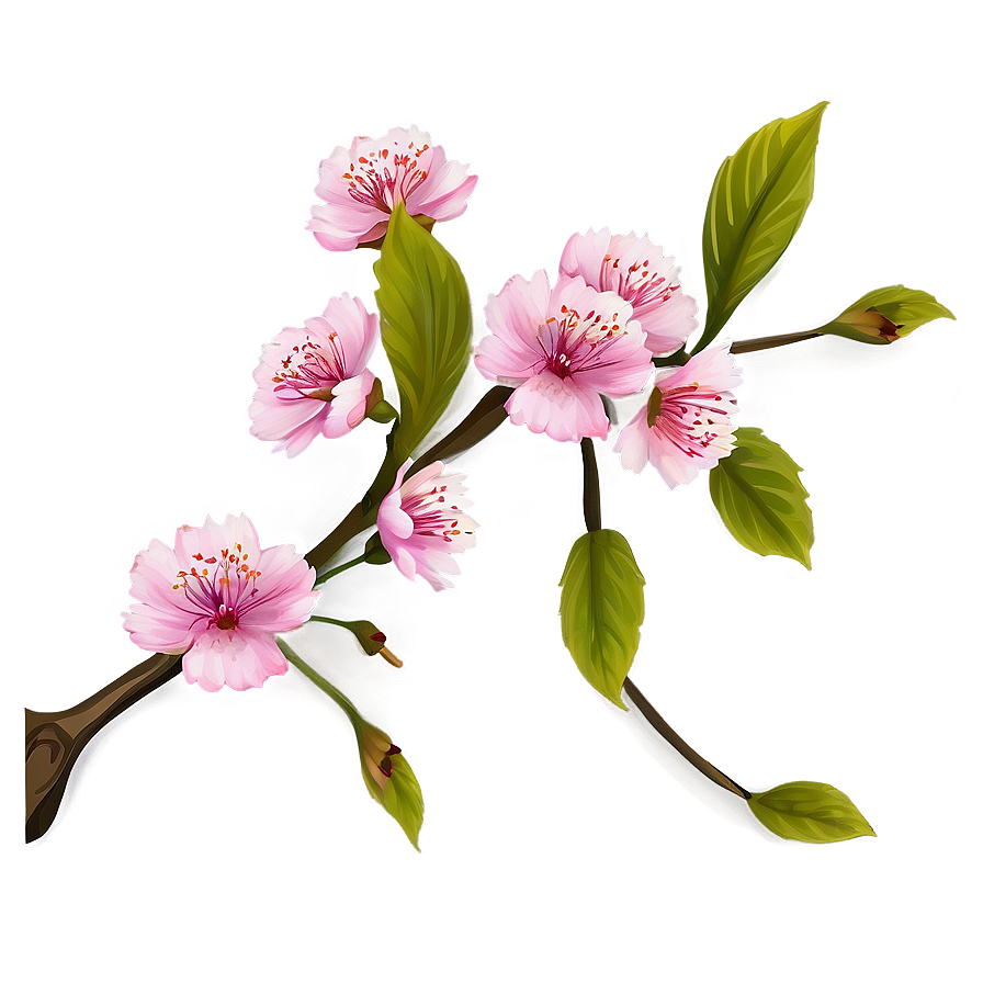 Pink Blossom Branch Png 93