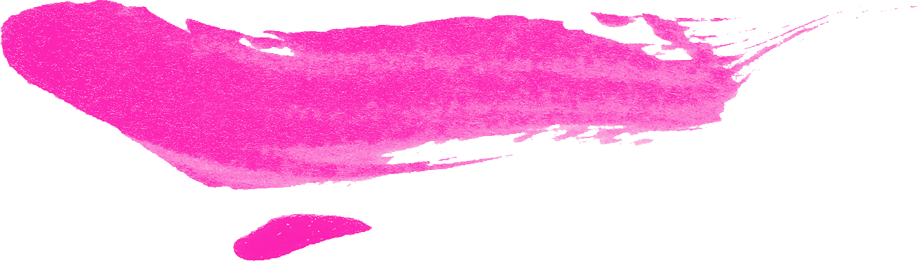 Pink Brush Stroke Vector