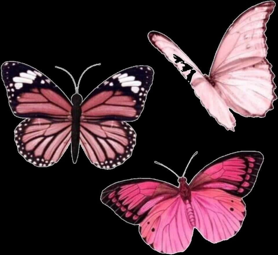 Pink Butterflies Trio