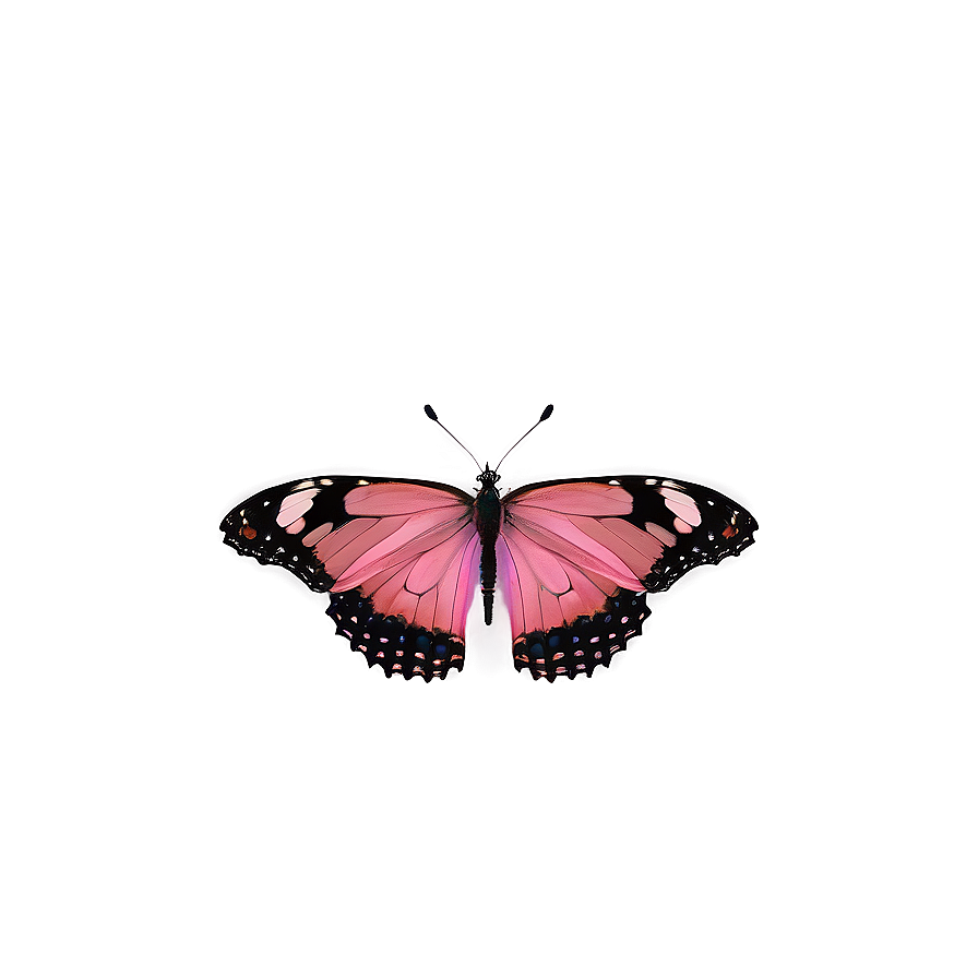 Pink Butterfly Authentic Look Png Joe48