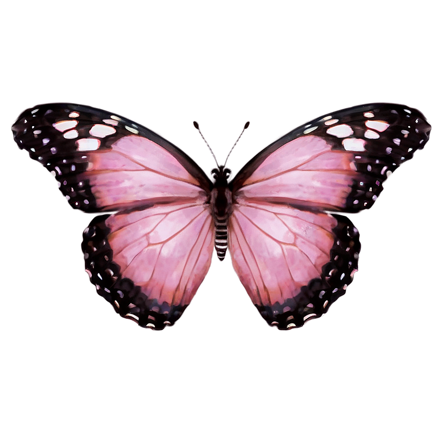 Pink Butterfly Clear Shot Png 35