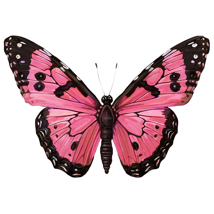 Pink Butterfly Close-up Png 46